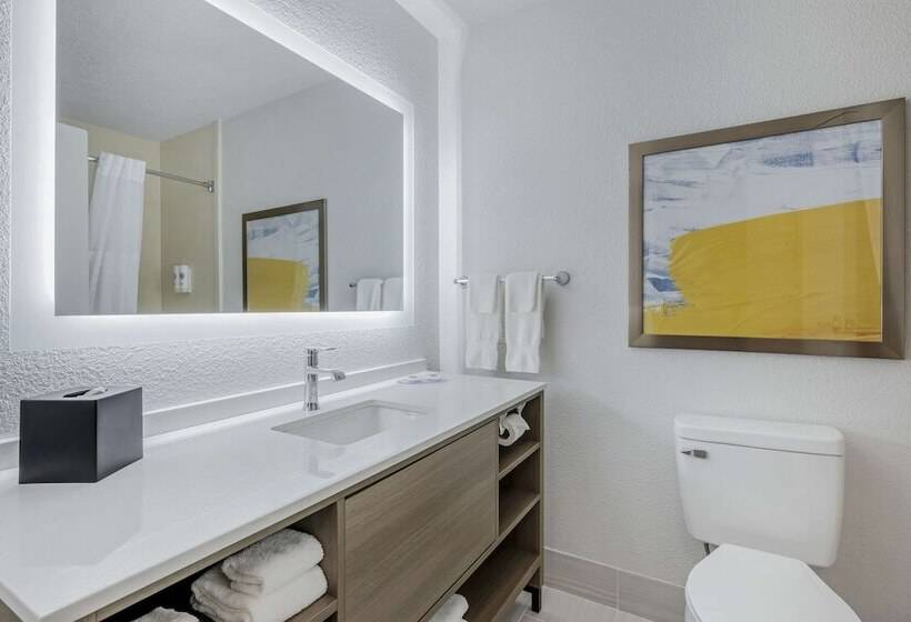 Люкс Адаптированный для Инвалидов, Comfort Suites West Indianapolis  Brownsburg