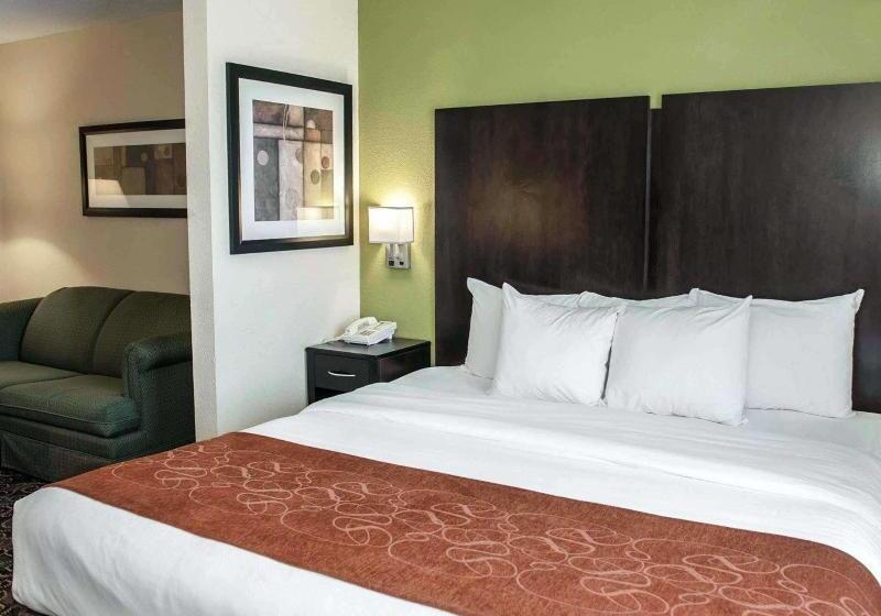 Люкс Кровать Кинг, Comfort Suites West Indianapolis  Brownsburg