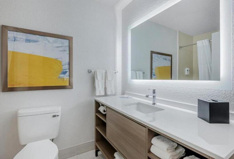 Люкс Кровать Кинг, Comfort Suites West Indianapolis  Brownsburg