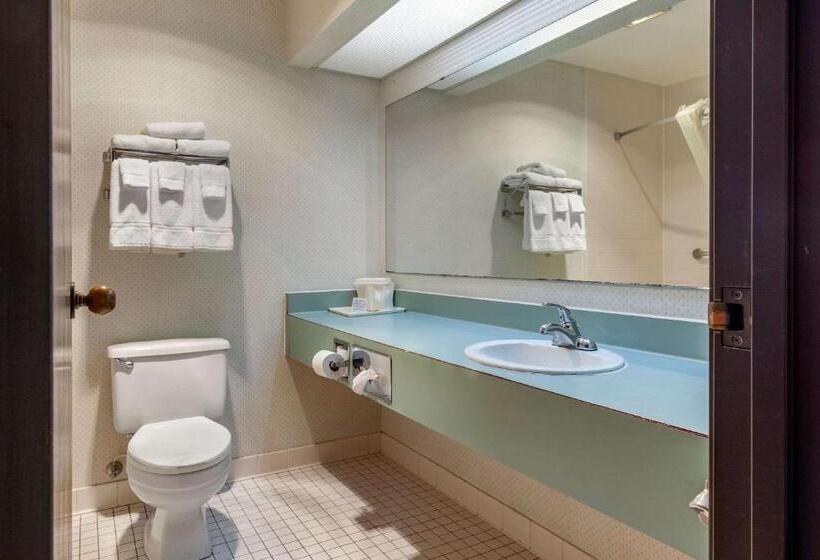 Номер Стандарт 2 Двуспальные Кровати, Econo Lodge Wausau   Rothschild