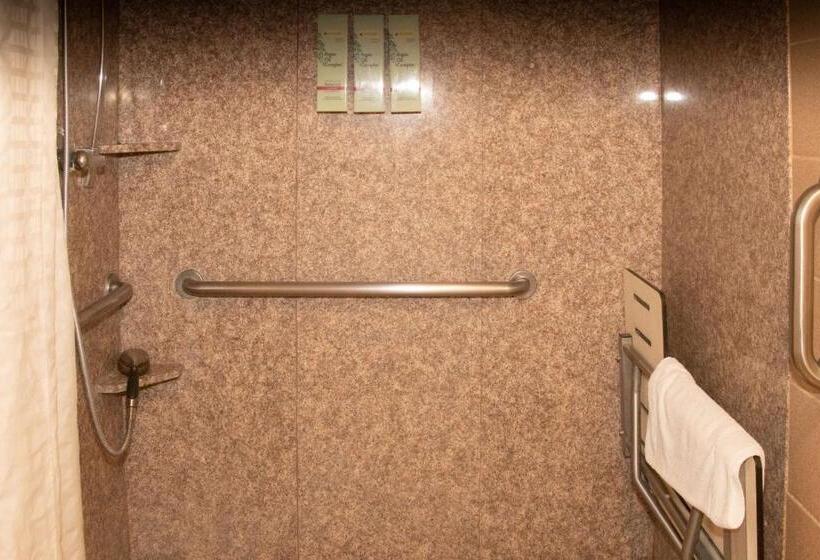 带大床的标准间, Best Western I 5 Inn & Suites