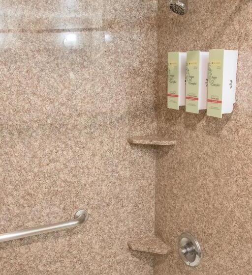 Люкс Адаптированный для Инвалидов, Best Western I 5 Inn & Suites
