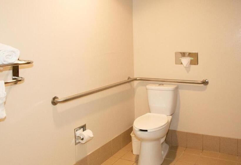 Номер Стандарт Кровать Кинг Адаптированный для Инвалидов, Best Western I 5 Inn & Suites