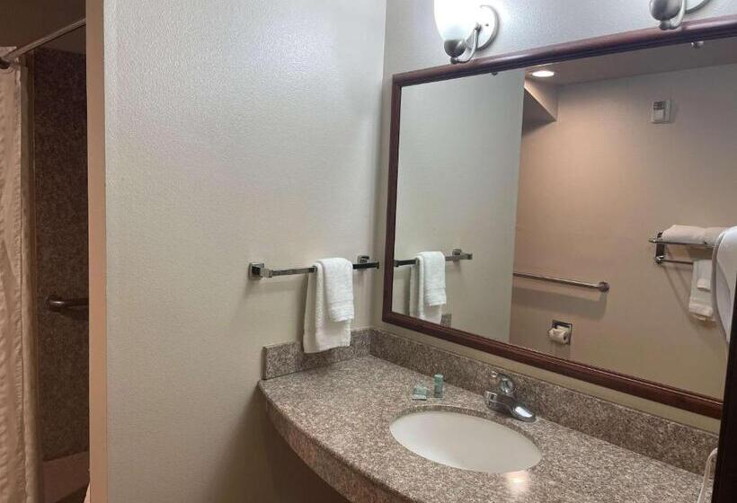 Номер Стандарт Кровать Кинг Адаптированный для Инвалидов, Best Western I 5 Inn & Suites