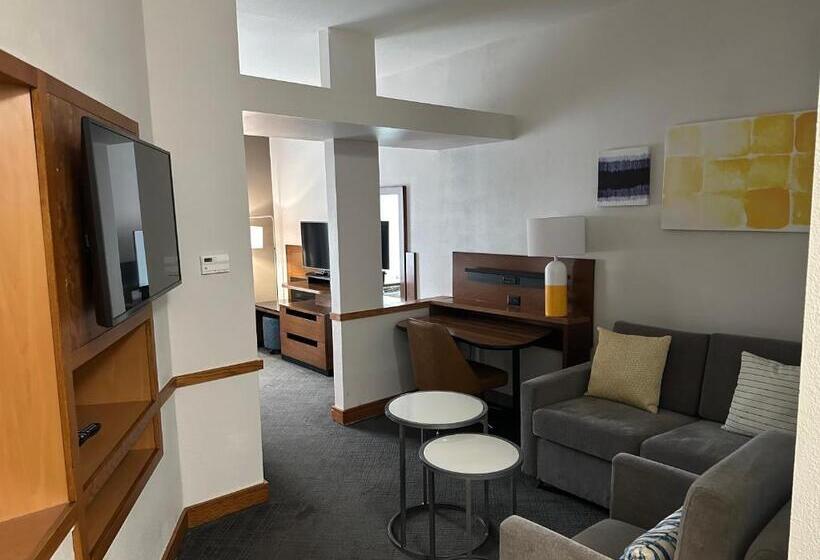 Люкс Кровать Кинг, Comfort Inn & Suites Akron South