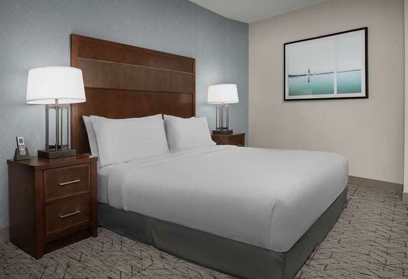 스탠다드 룸, Embassy Suites Springfield