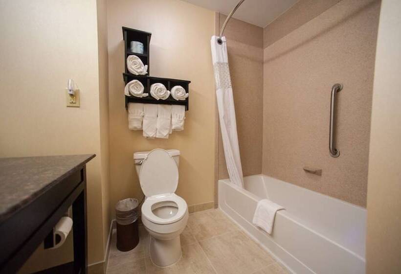 Студио Стандарт Кровать Кинг, Hampton Inn By Hilton Fort Morgan