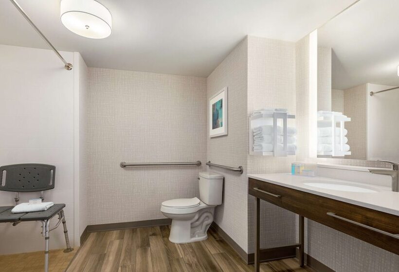 장애인을 위한 스탠다드 룸, Hampton Inn & Suites Salisbury/fruitland