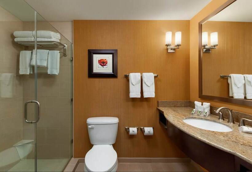 Номер Стандарт, Hilton Garden Inn Bossier City, La