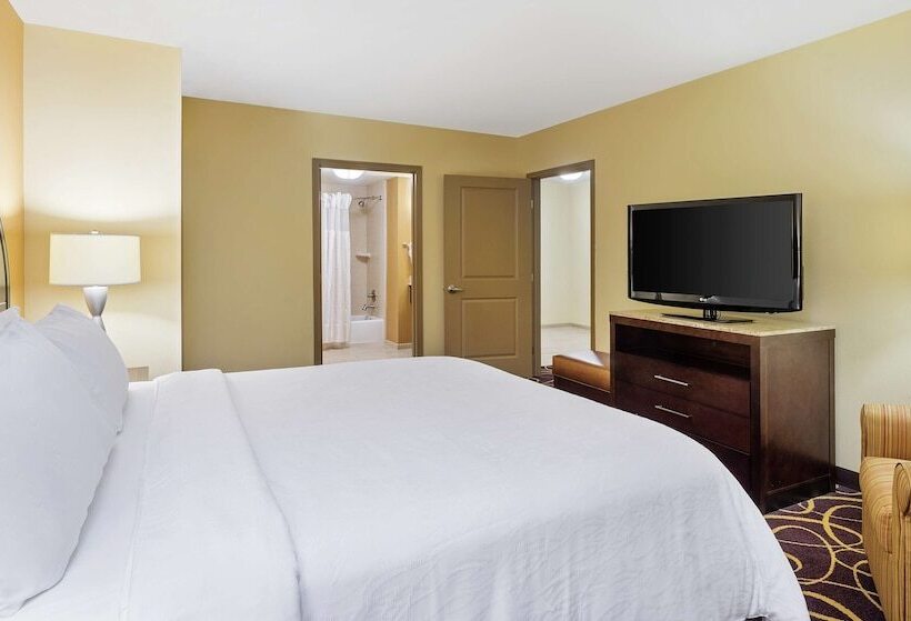 Номер Стандарт, Hilton Garden Inn Bossier City, La