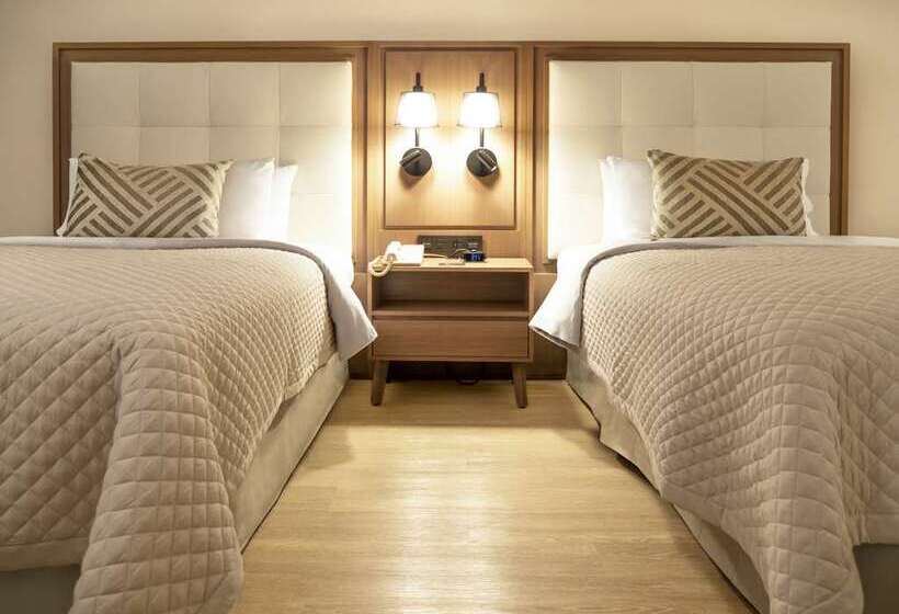Номер Executive, Hilton Shijiazhuang