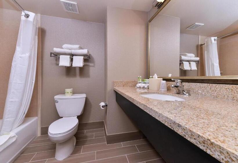 Номер Стандарт, Holiday Inn Express & Suites Indio   Coachella Valley, An Ihg