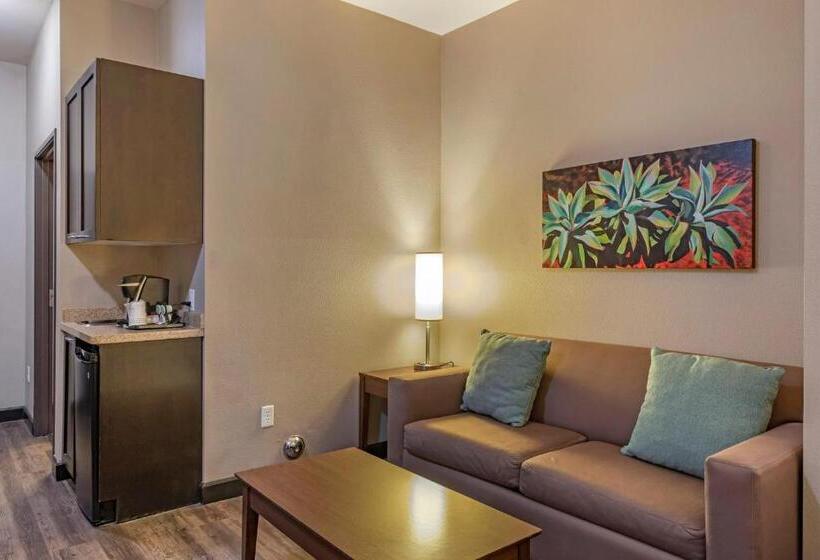 Стандартный Номер Кровать Кинг, Holiday Inn Express & Suites Indio   Coachella Valley, An Ihg