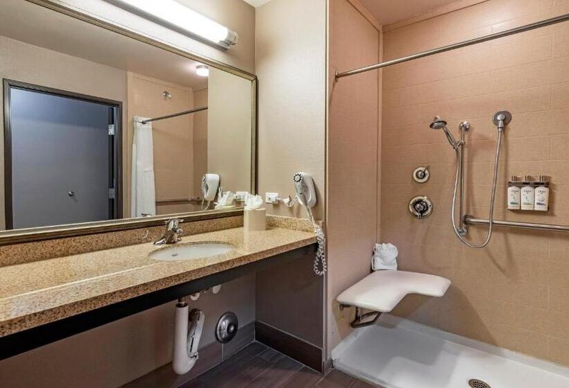 Номер Стандарт Адаптированный для Инвалидов, Holiday Inn Express & Suites Indio   Coachella Valley, An Ihg