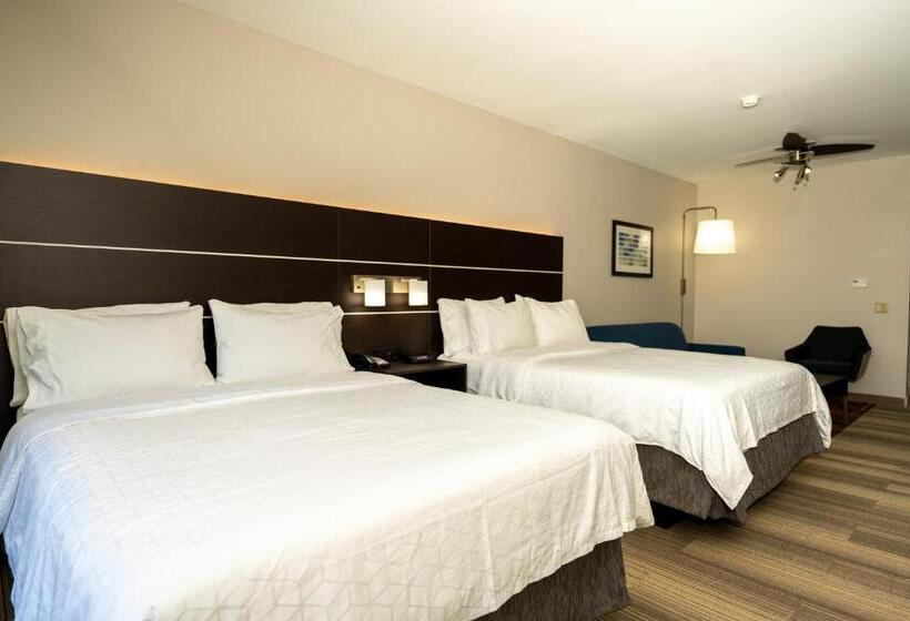 이그제큐티브 스위트 킹침대, Holiday Inn Express & Suites Deer Park, An Ihg