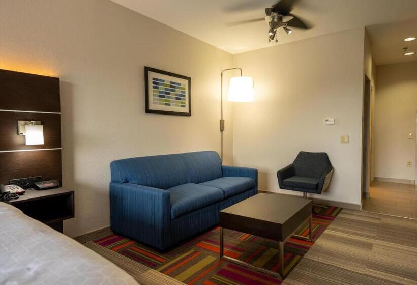 장애인을 위한 킹사이즈 침대 스탠다드 룸, Holiday Inn Express & Suites Deer Park, An Ihg