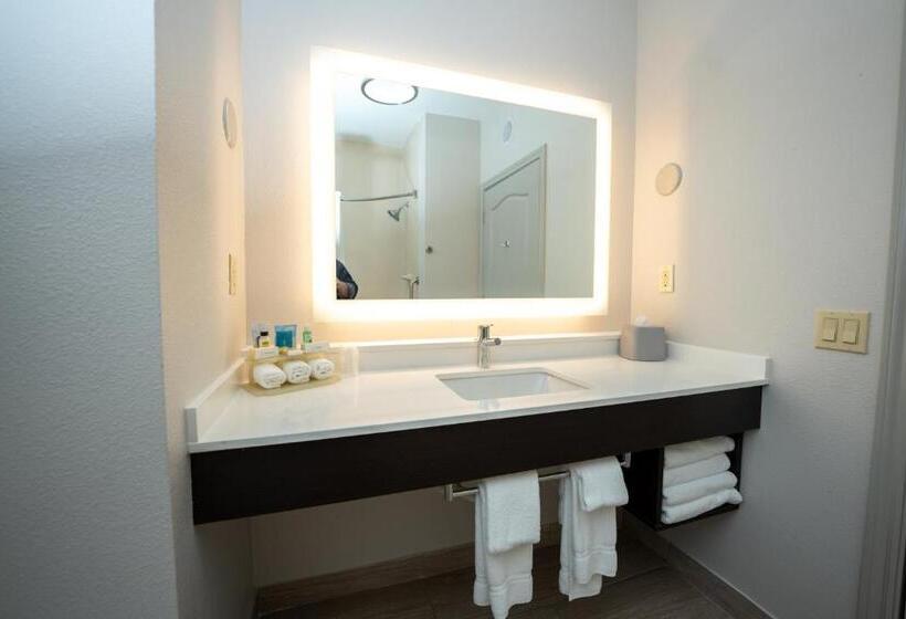 장애인을 위한 킹사이즈 침대 스탠다드 룸, Holiday Inn Express & Suites Deer Park, An Ihg