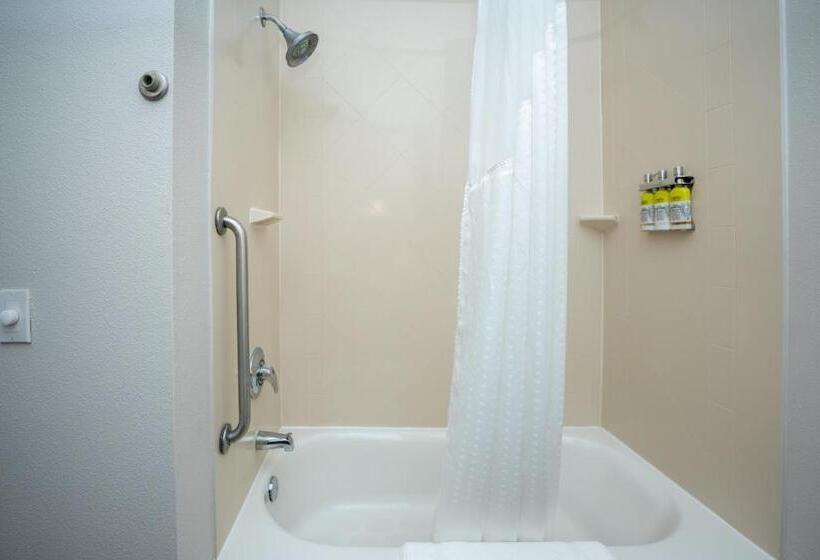 스위트 킹사이즈 침대, Holiday Inn Express & Suites Deer Park, An Ihg