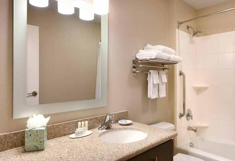 Люкс, Towneplace By Marriott Suites Elko