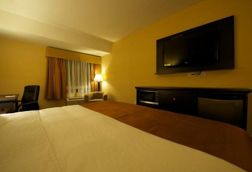Стандартный Номер Кровать Кинг, Days Inn & Suites By Wyndham Winnipeg Airport Manitoba