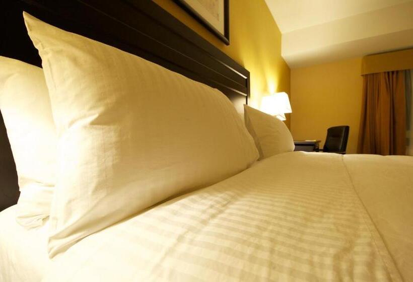 Стандартный Номер Кровать Кинг, Days Inn & Suites By Wyndham Winnipeg Airport Manitoba