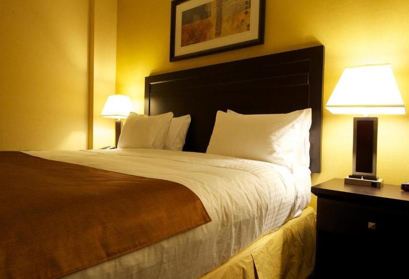 Люкс Кровать Кинг, Days Inn & Suites By Wyndham Winnipeg Airport Manitoba