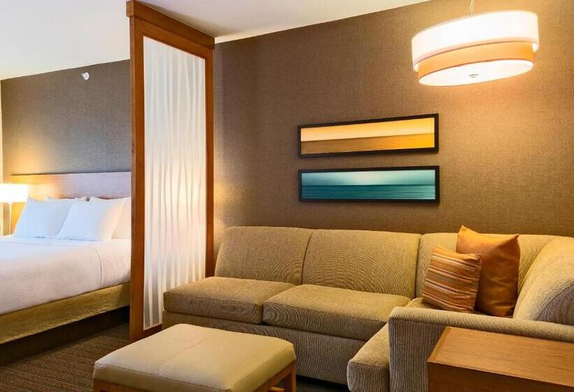 オーシャンビュースタンダードルーム, Hyatt Place Los Cabos