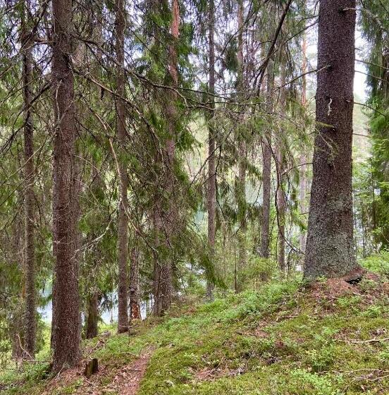 Семейный Номер, Handlarens Villa   Vandrarhem De Luxe