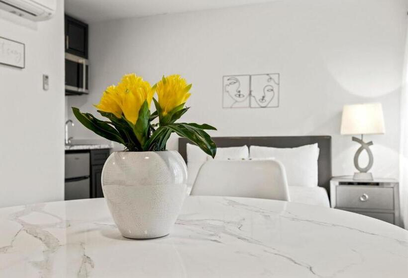 豪华工作室, Sunset Inn South Miami