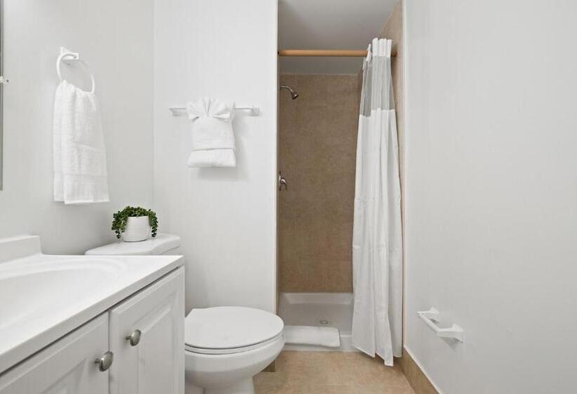 스탠다드 스튜디오, Sunset Inn South Miami
