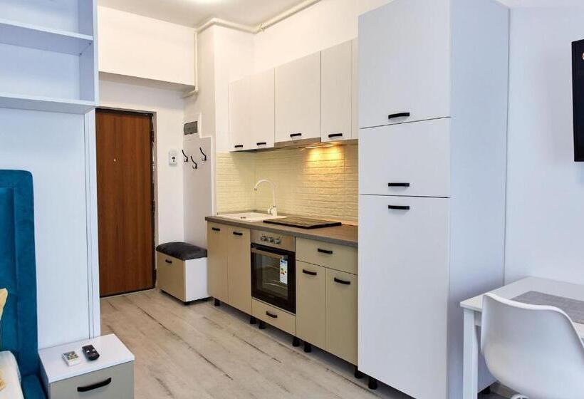 Studio Deluxe, Apartamente 2 Tomis Villa