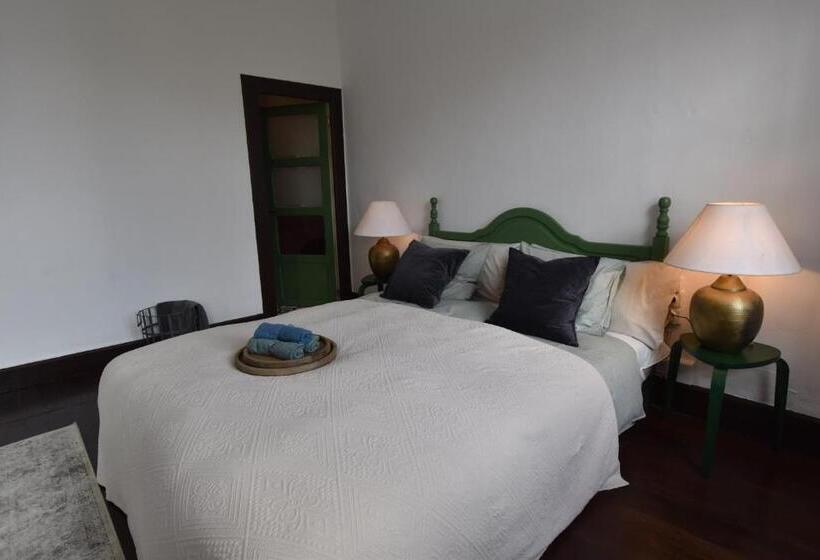 Номер Стандарт Вид на Сад, Gato Azul   Coliving