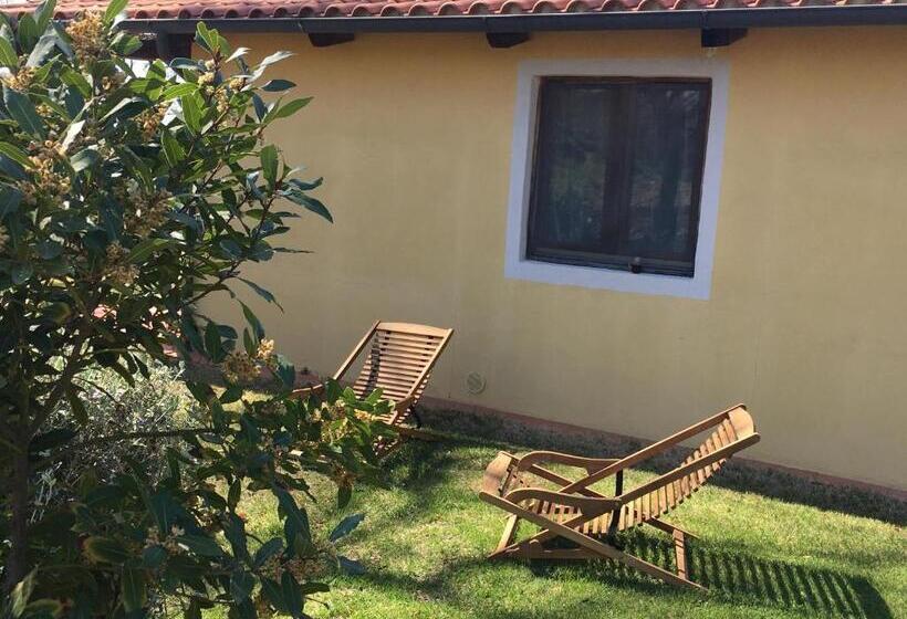 Апартаменты 1 Спальня, Relais Ciavatta Country