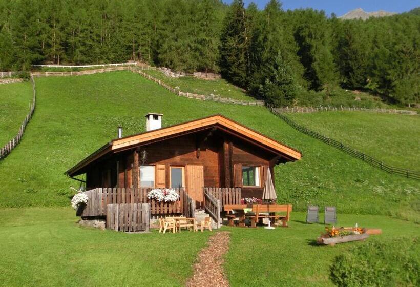Дом 2 Спальни, Ferienhütte Premstlahof