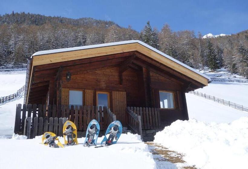 Дом 2 Спальни, Ferienhütte Premstlahof