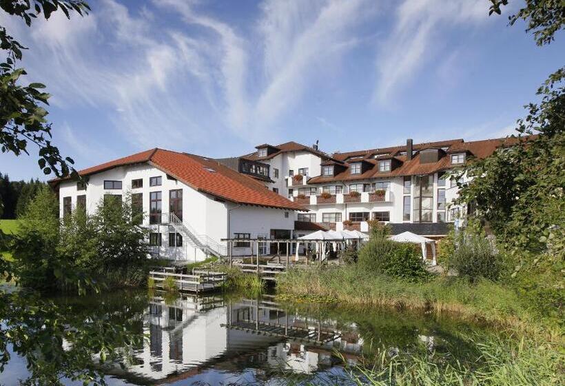 Номер Премиум Индивидуальный, Allgäu Resort