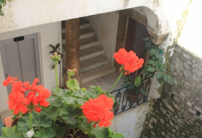 Quarto Triplo Estandar, Miramare
