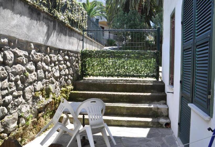 Студия Стандарт, Residence Moneglia
