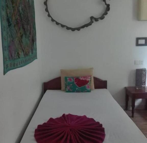 اتاق اکونومی, Auberge De La Plage