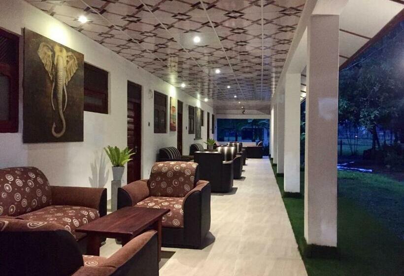 Üç Kişilik Standart Oda, Thisara Guest House