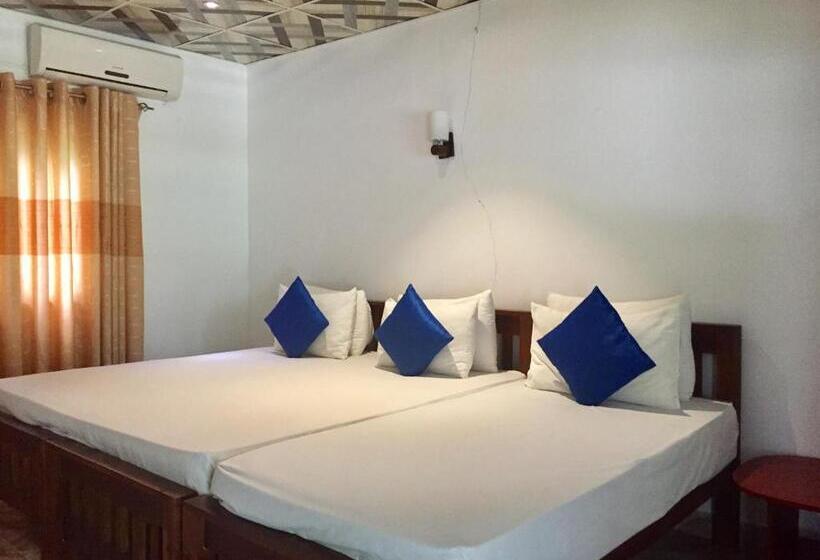 Üç Kişilik Standart Oda, Thisara Guest House