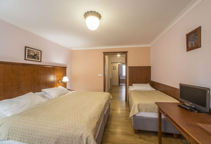 Standard Triple Room, Cerny Slon
