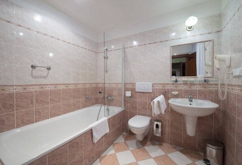 Standard Room, Cerny Slon