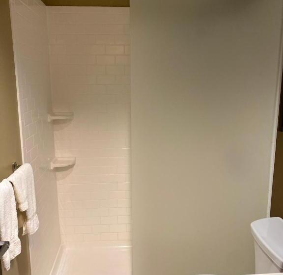 Номер Стандарт, Microtel Inn & Suites By Wyndham Timmins