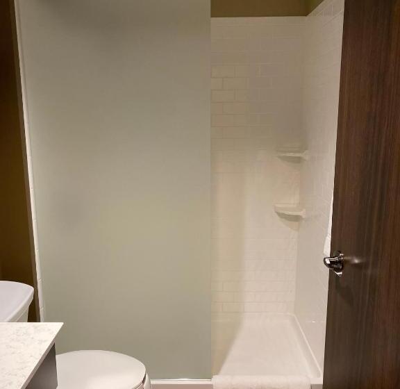 Номер Стандарт, Microtel Inn & Suites By Wyndham Timmins