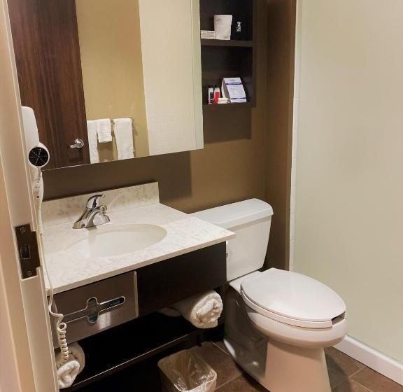 Номер Deluxe, Microtel Inn & Suites By Wyndham Timmins