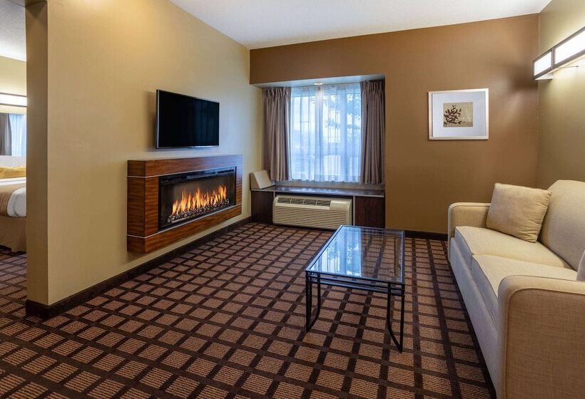 Люкс, Microtel Inn & Suites By Wyndham Timmins
