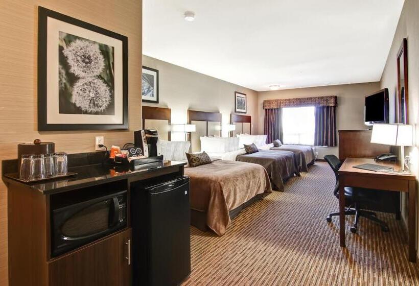ファミリールーム, Canalta Hotel Shaunavon