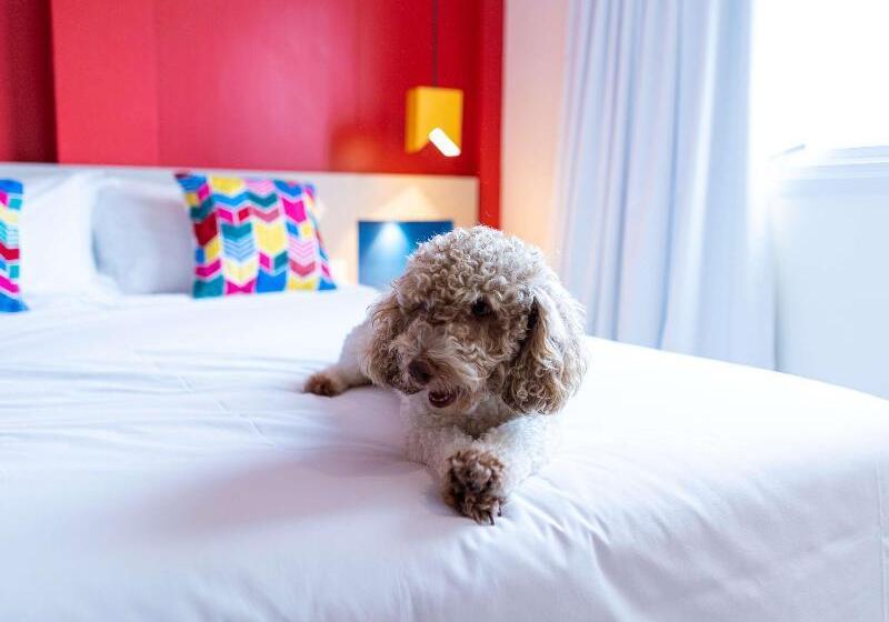 Апартаменты 1 Спальня, Ibis Styles Campina Grande