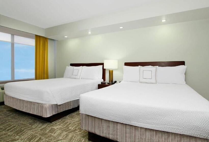 베이직 스튜디오, Springhill Suites Chesapeake Greenbrier